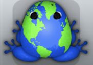 Blue Muscus Planeta Frog from Pocket Frogs