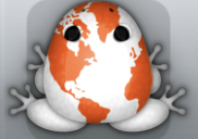 White Carota Planeta Frog from Pocket Frogs