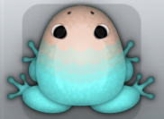 Aqua Ceres Pluma Frog from Pocket Frogs