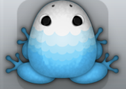 Azure Albeo Pluma Frog from Pocket Frogs