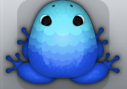 Blue Callaina Pluma Frog from Pocket Frogs