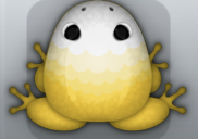 Golden Albeo Pluma Frog from Pocket Frogs