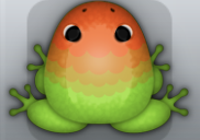 Green Carota Pluma Frog from Pocket Frogs