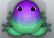 Marine Viola Pluma Frog from Pocket Frogs