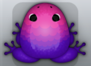 Purple Floris Pluma Frog from Pocket Frogs