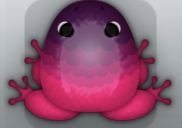 Violet Pruni Pluma Frog from Pocket Frogs