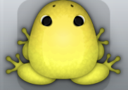 Yellow Aurum Pluma Frog from Pocket Frogs