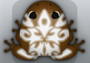 Cocos Albeo Procursus Frog from Pocket Frogs