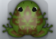 Olive Bruna Procursus Frog from Pocket Frogs