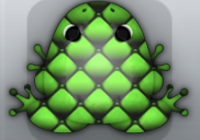 Black Muscus Pulvillus Frog from Pocket Frogs