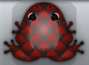 Black Tingo Pulvillus Frog from Pocket Frogs