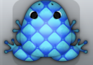 Blue Callaina Pulvillus Frog from Pocket Frogs