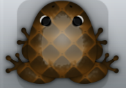 Cocos Cafea Pulvillus Frog from Pocket Frogs