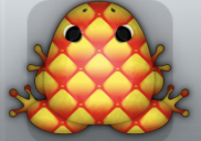 Red Aurum Pulvillus Frog from Pocket Frogs