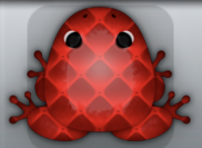 Red Tingo Pulvillus Frog from Pocket Frogs