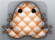 Tangelo Albeo Pulvillus Frog from Pocket Frogs