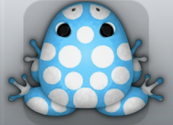 Azure Albeo Puncti Frog from Pocket Frogs