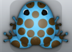 Azure Bruna Puncti Frog from Pocket Frogs