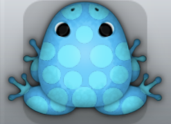 Azure Callaina Puncti Frog from Pocket Frogs