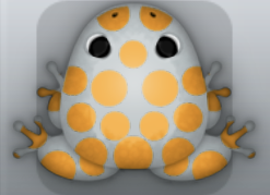 Glass Chroma Puncti Frog from Pocket Frogs