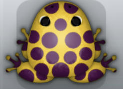 Golden Pruni Puncti Frog from Pocket Frogs