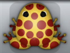 Golden Tingo Puncti Frog from Pocket Frogs