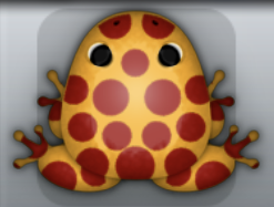 Orange Tingo Puncti Frog from Pocket Frogs