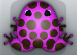 Pink Cafea Puncti Frog from Pocket Frogs