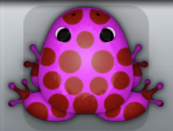 Pink Tingo Puncti Frog from Pocket Frogs
