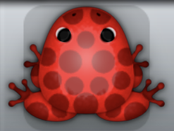 Red Tingo Puncti Frog from Pocket Frogs