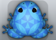 Azure Caelus Quilta Frog from Pocket Frogs