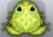 Green Aurum Quilta Frog from Pocket Frogs