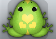 Green Aurum Roboris Frog from Pocket Frogs