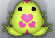 Lime Floris Roboris Frog from Pocket Frogs