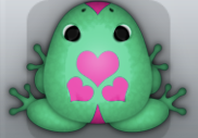 Marine Floris Roboris Frog from Pocket Frogs