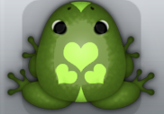 Olive Folium Roboris Frog from Pocket Frogs