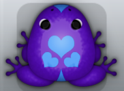 Purple Caelus Roboris Frog from Pocket Frogs