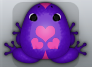 Purple Floris Roboris Frog from Pocket Frogs