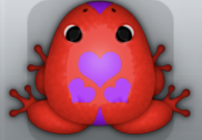 Red Viola Roboris Frog from Pocket Frogs