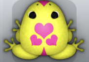 Yellow Floris Roboris Frog from Pocket Frogs