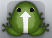 Olive Albeo Sagitta Frog from Pocket Frogs