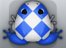 Blue Albeo Scutulata Frog from Pocket Frogs
