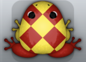 Maroon Aurum Scutulata Frog from Pocket Frogs