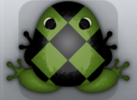 Olive Picea Scutulata Frog from Pocket Frogs