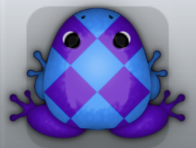 Purple Caelus Scutulata Frog from Pocket Frogs