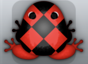 Red Picea Scutulata Frog from Pocket Frogs