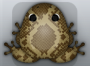 Beige Bruna Serpentis Frog from Pocket Frogs