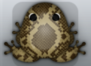 Beige Cafea Serpentis Frog from Pocket Frogs