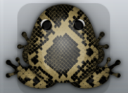 Beige Picea Serpentis Frog from Pocket Frogs