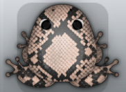 Black Ceres Serpentis Frog from Pocket Frogs